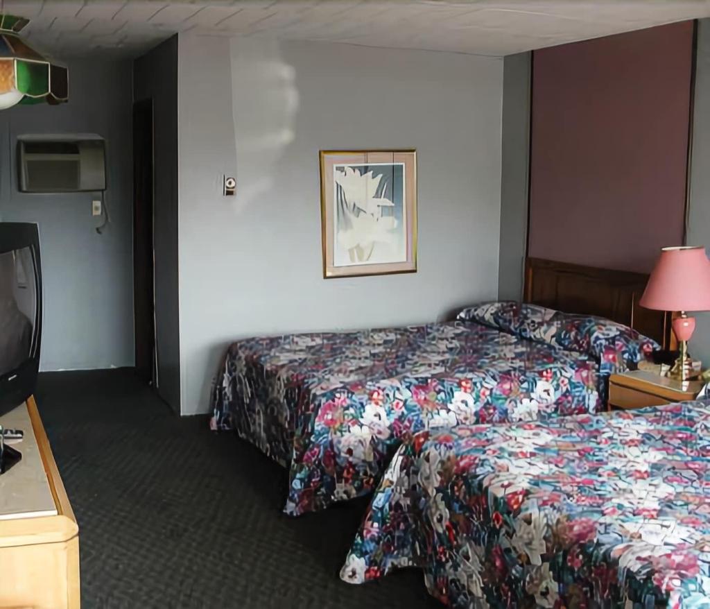 Rainbow Motor Inn By The Falls