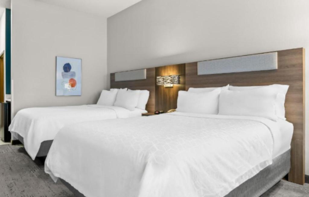 Holiday Inn Express & Suites Detroit North - Rosev