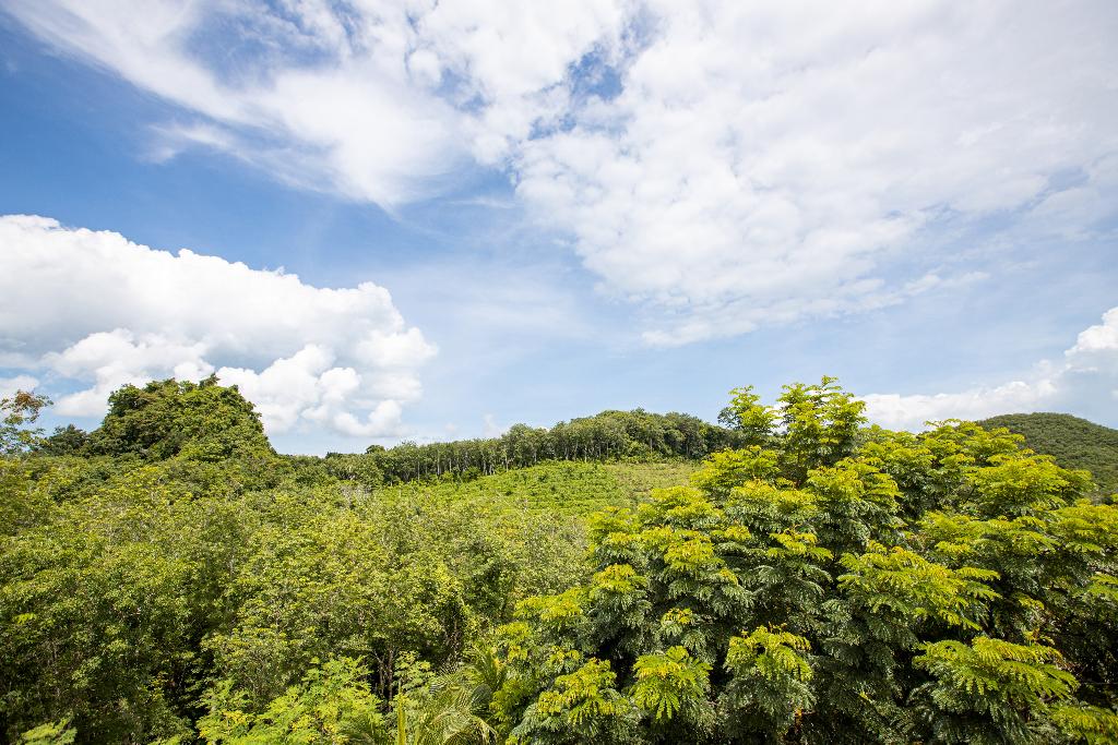 Hotel SAMSAM Yao Noi - Tropical Magic & Art Villas, Thailand, Insel Yao Yai. Großes 18