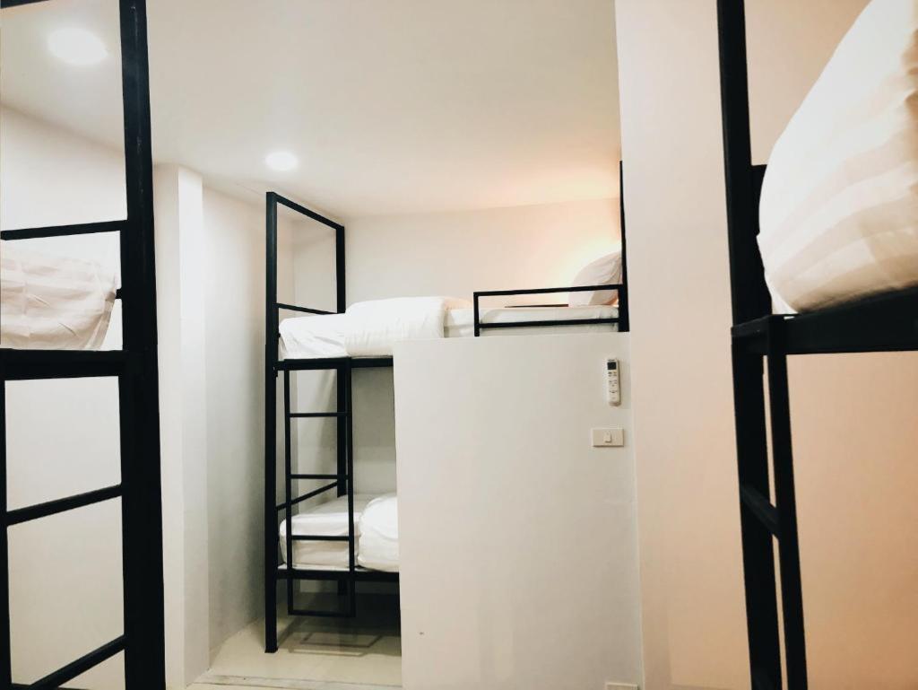 Tall Tree Kata Phuket