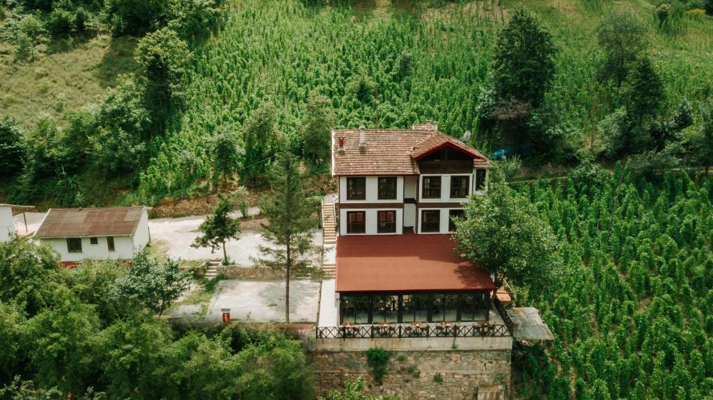 Iskalita Otel