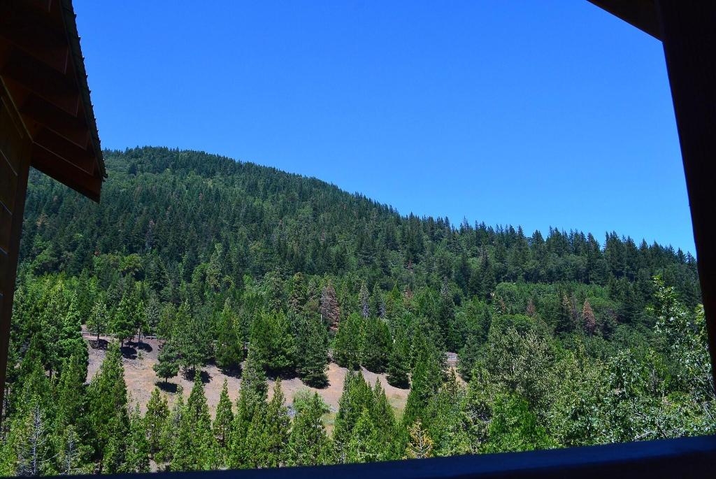 Callahan S Mountain Lodge