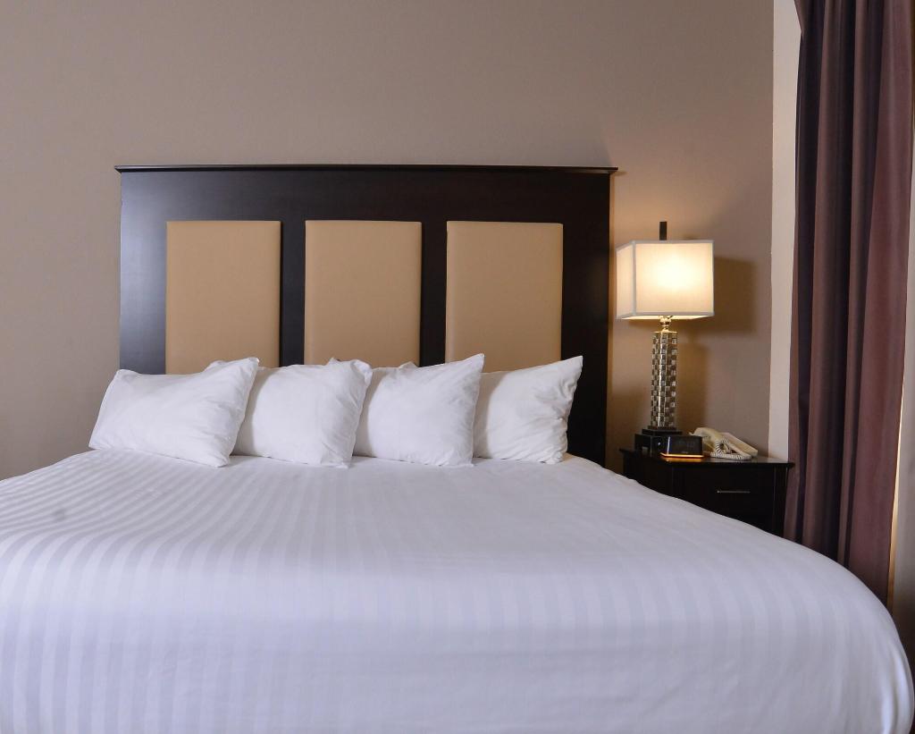 Stay Over Suites