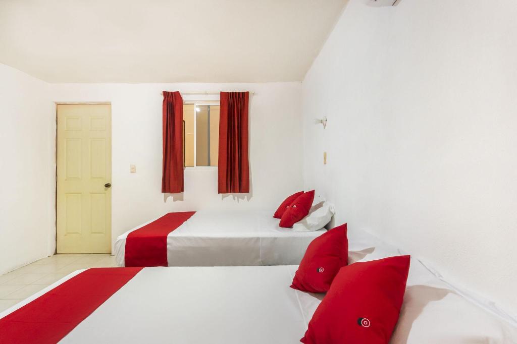 Hotel Cedros