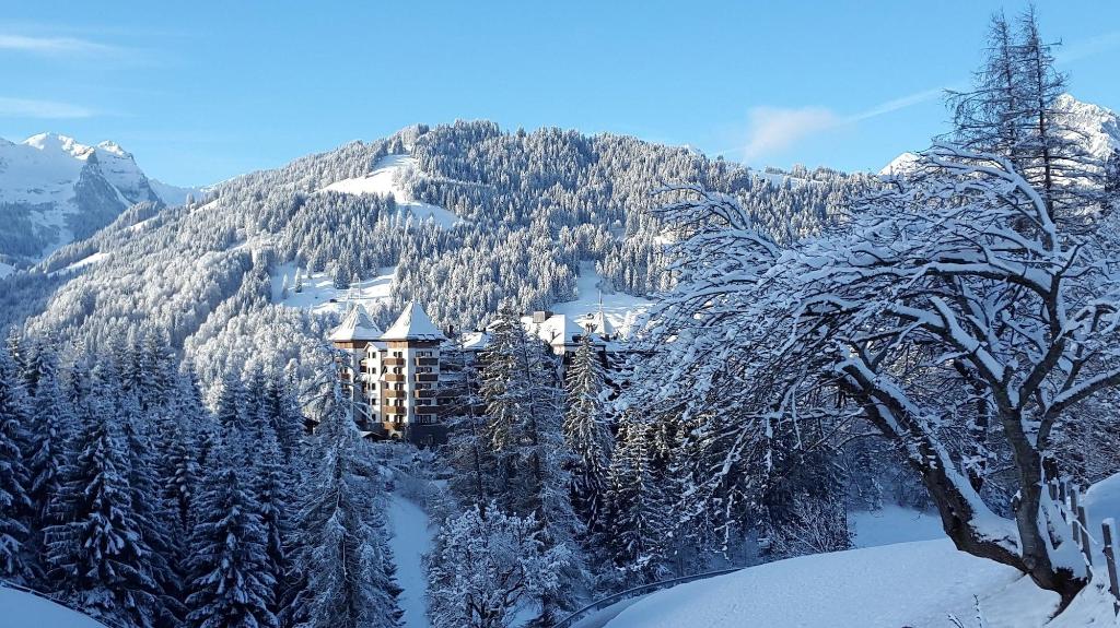 The Alpina Gstaad