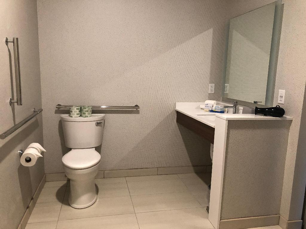 Holiday Inn Express & Suites Madison W - Middleton