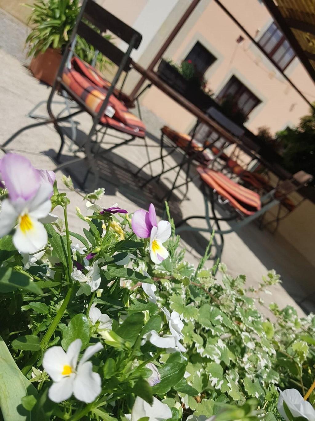 Pension Marlis