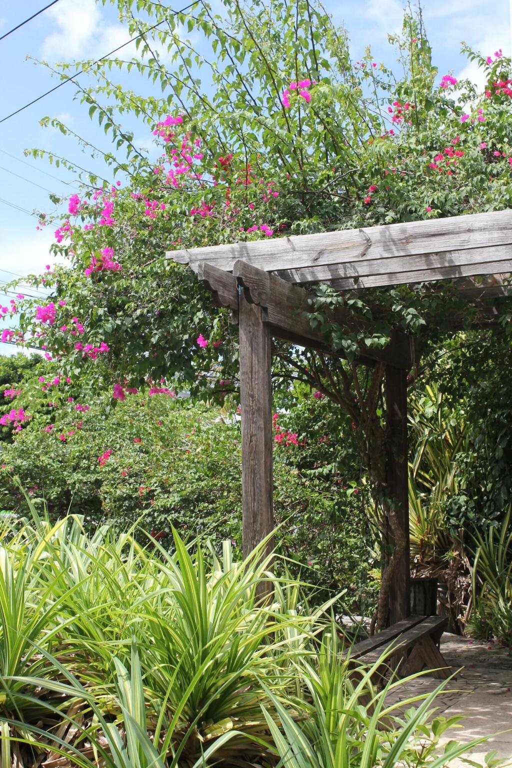 Tingum Village Hotel