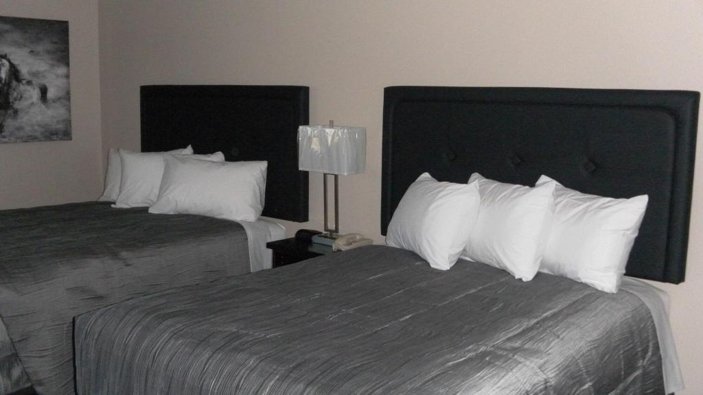 Stampeder Inn