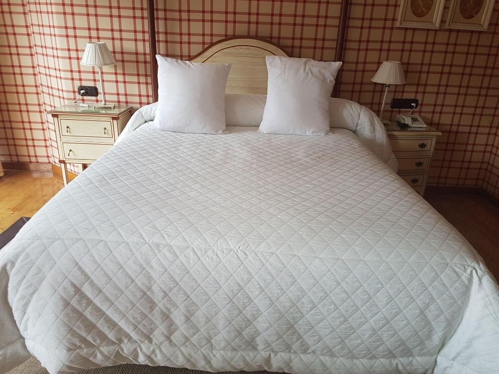 Hotel Presa