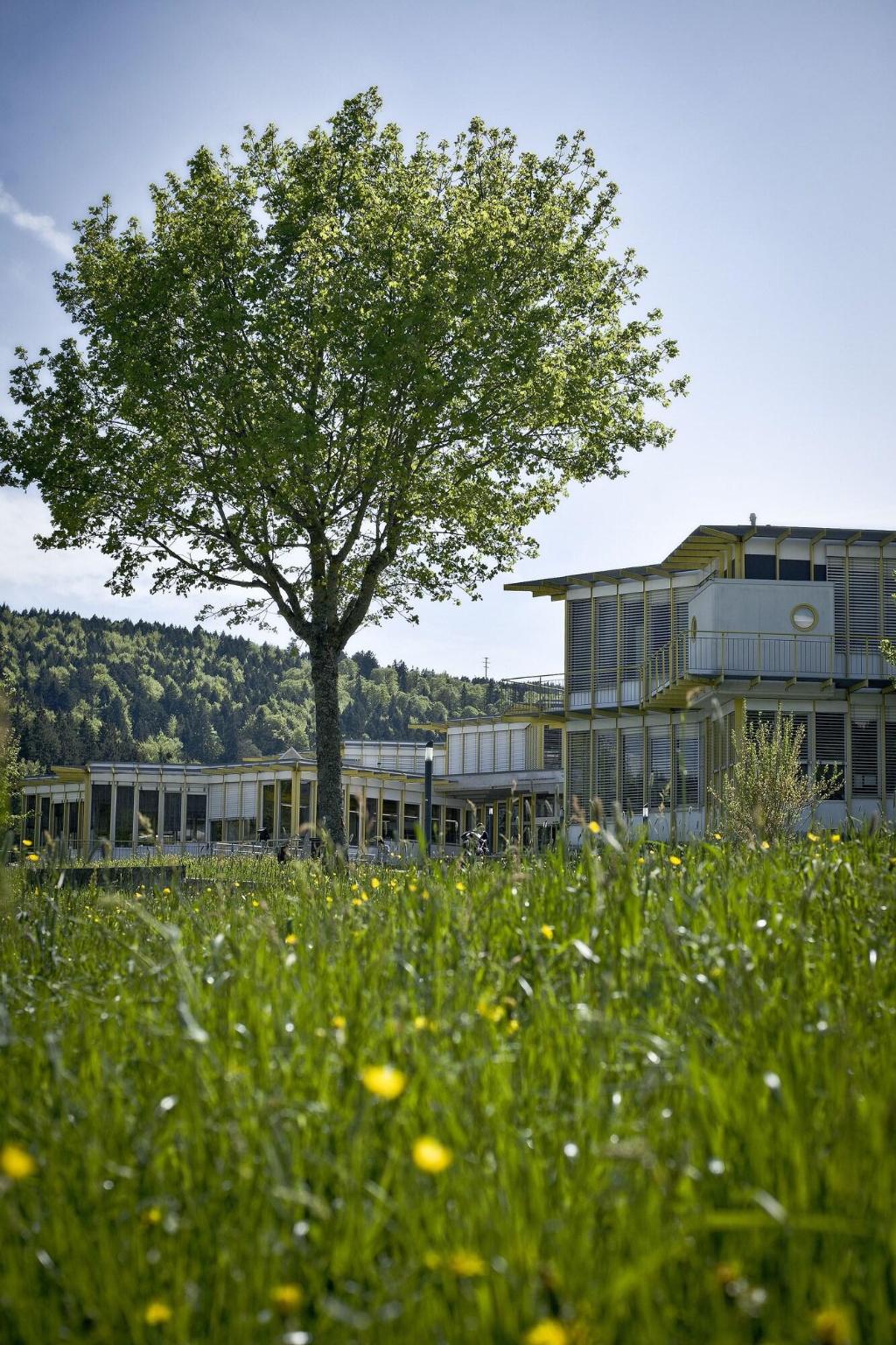 Hotel Cip