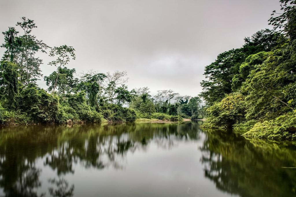 The Rainforest Lodge At Sleeping Giant