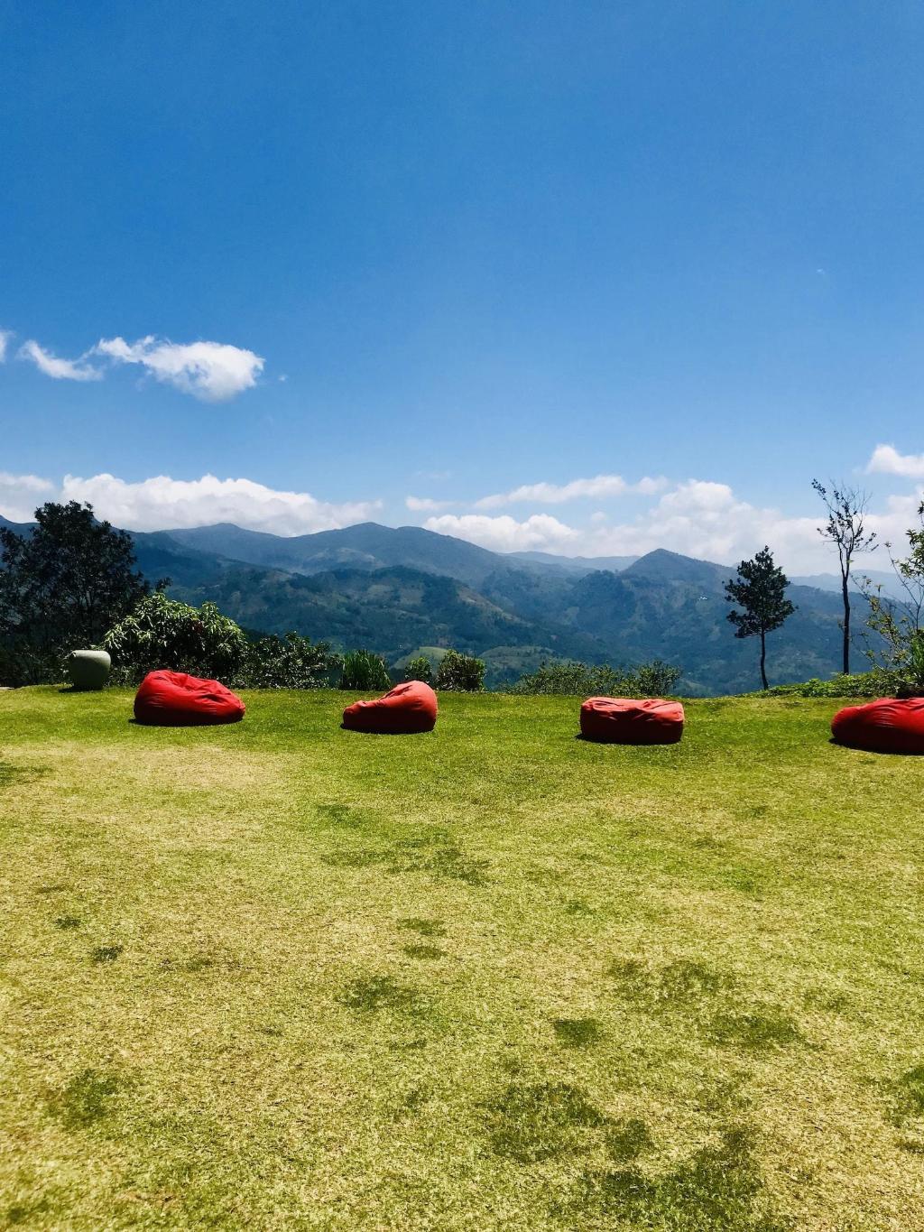 Madulkelle Tea And Eco Lodge