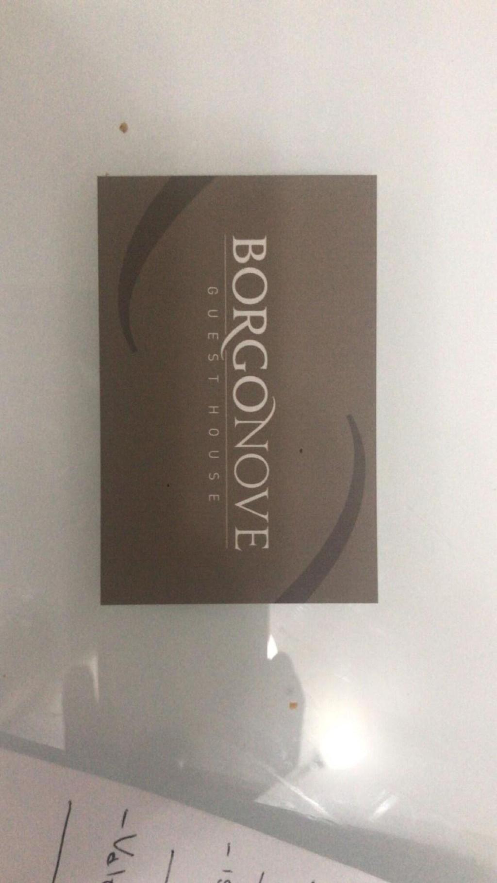 Borgonove