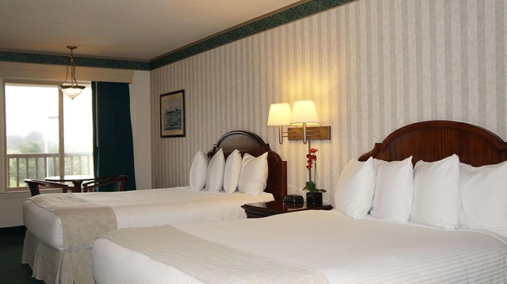 Emerald Dolphin Inn