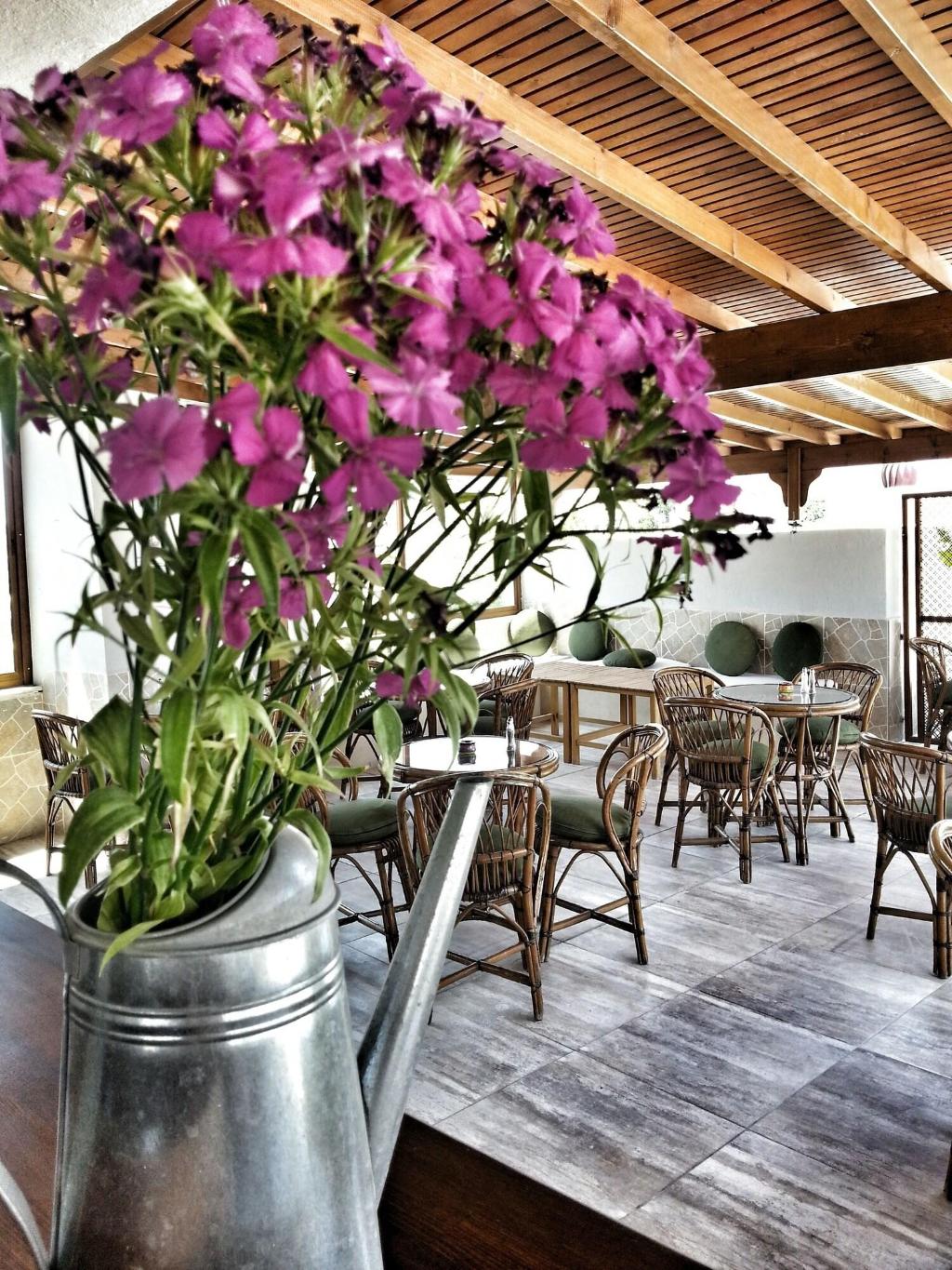 Cesurlar Hotel