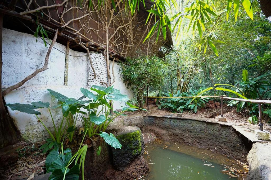 Saraya Art Cafe Bed And Breakfast