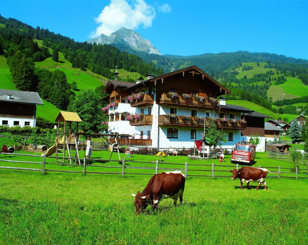 Die Unterbergerin