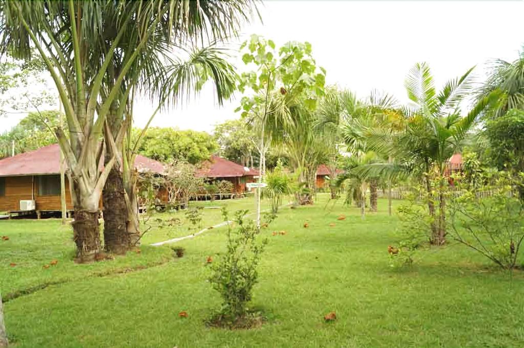 Manish Hotel Ecologico