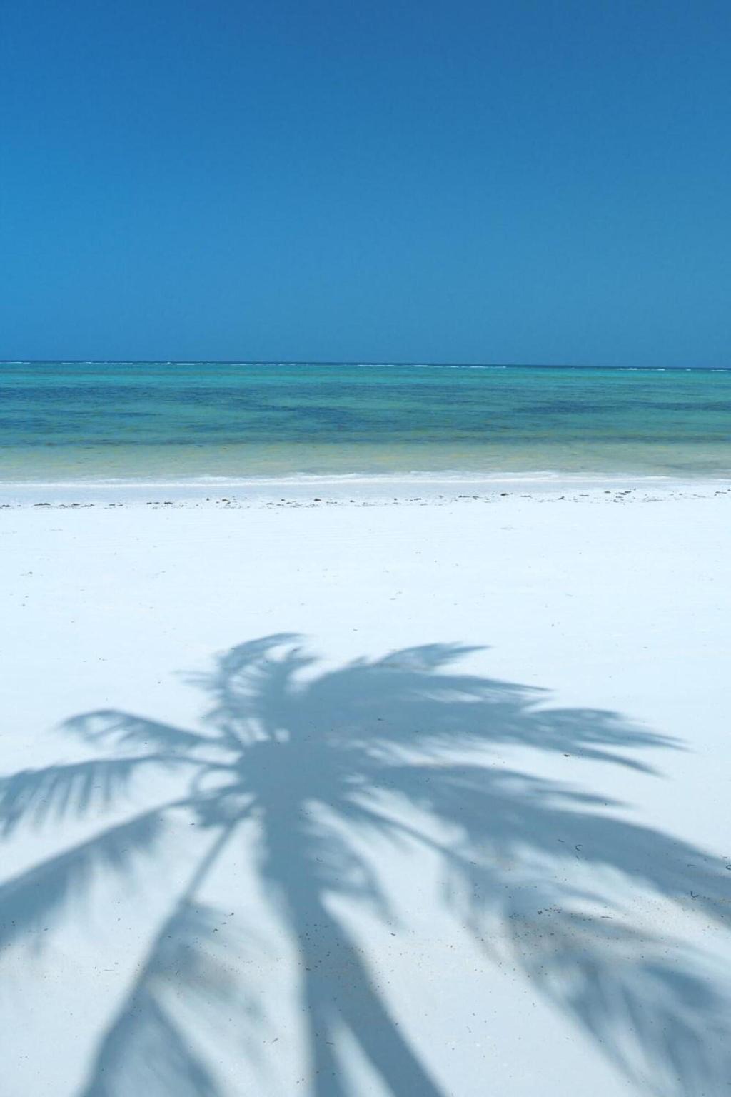 Hotel Palm Zanzibar, Tansania, Bwejuu. Großes 66