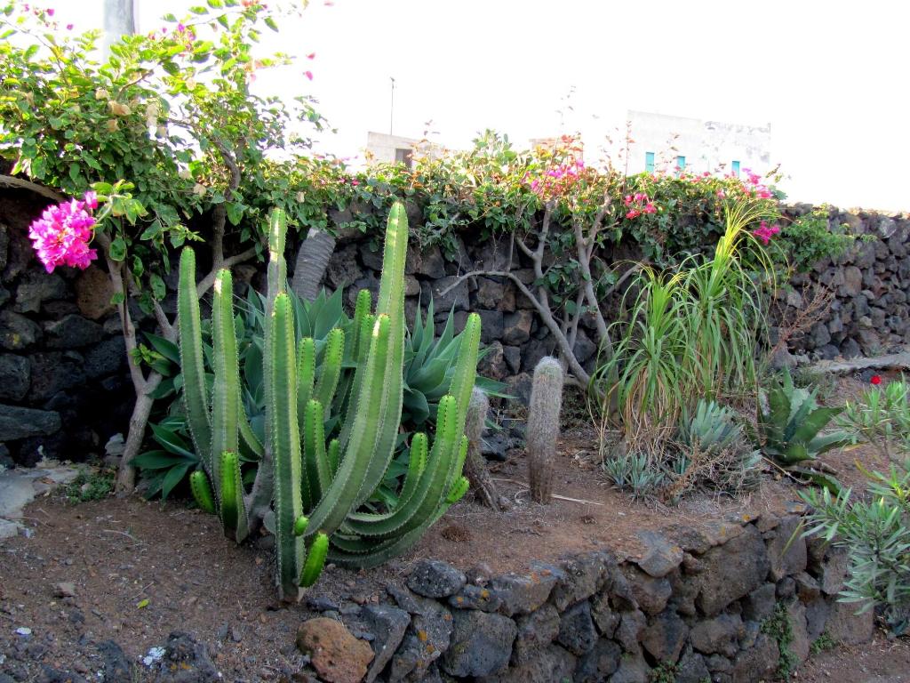 I Dammusini Di Pantelleria