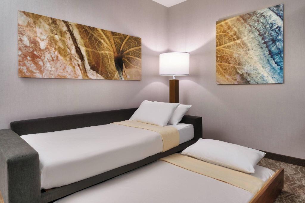 Springhill Suites By Marriott El Paso Airport