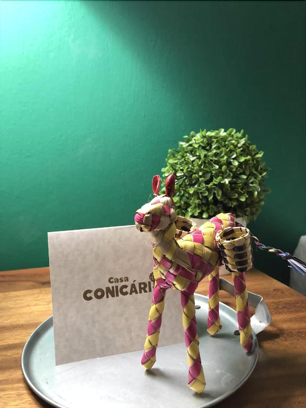 Casa Conicarit