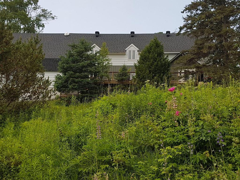 Le Cedar Lodge