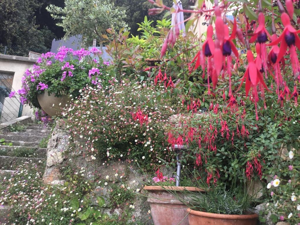 Skylark Bed & Breakfast