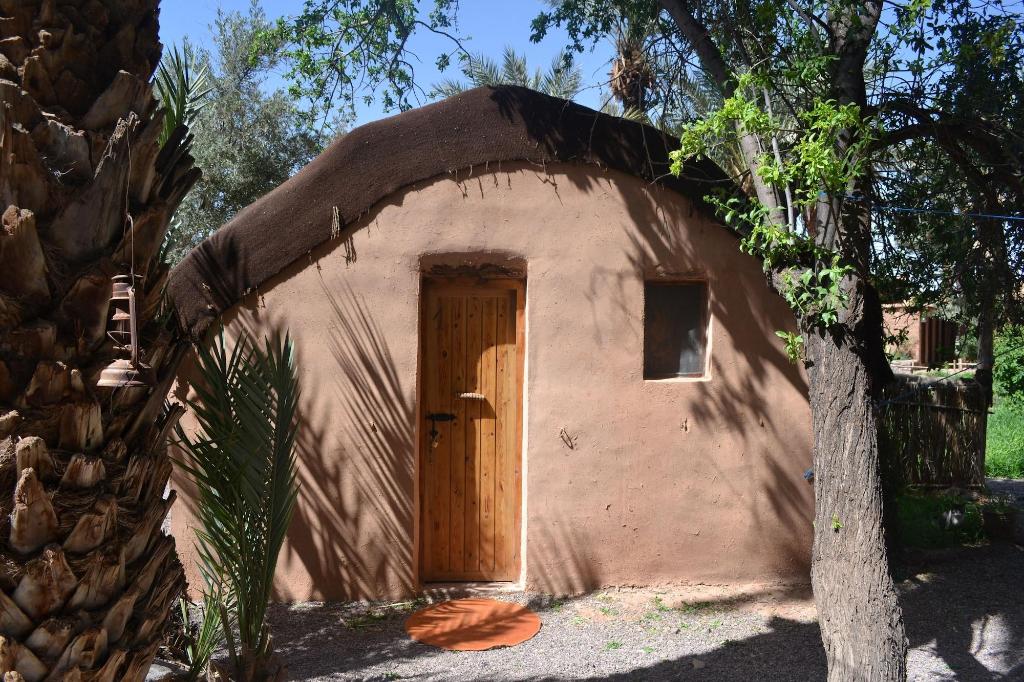 Ecolodge - La Palmeraie