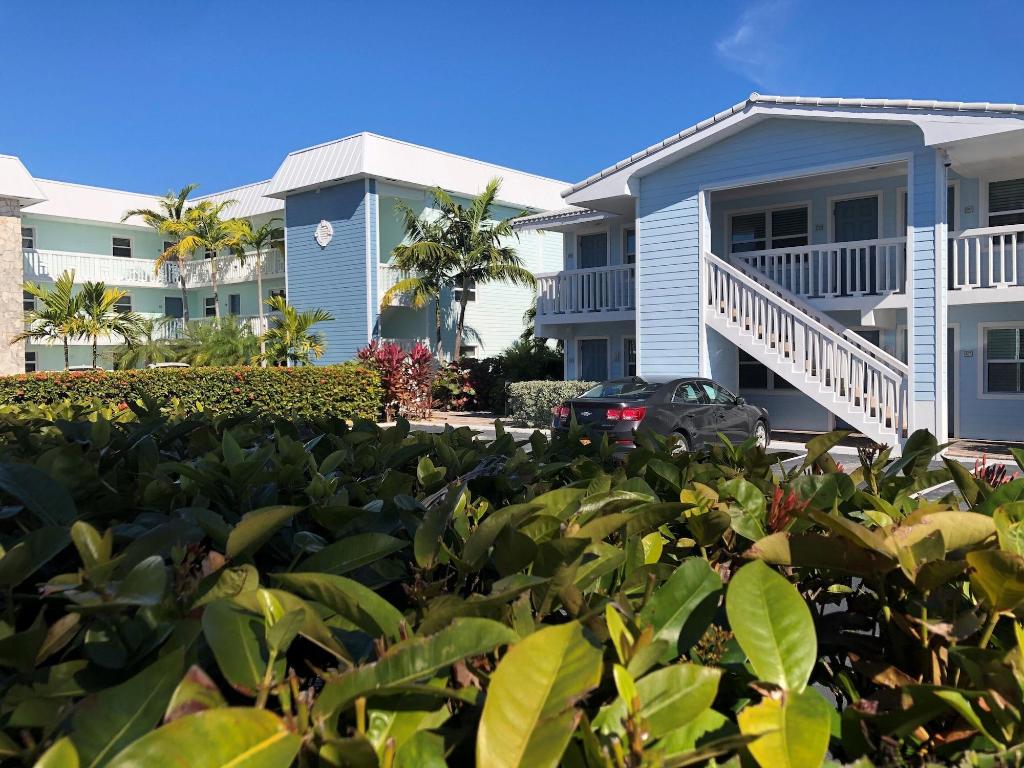 Dolphin Cove - Adults Only