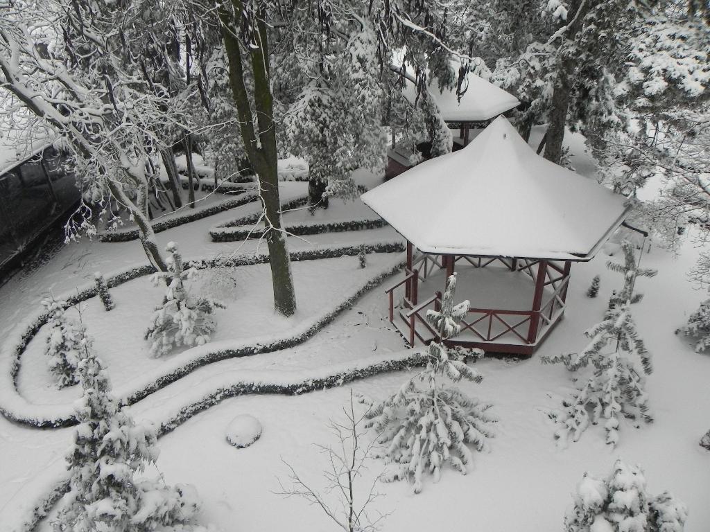 Hotel Baneasa Parc