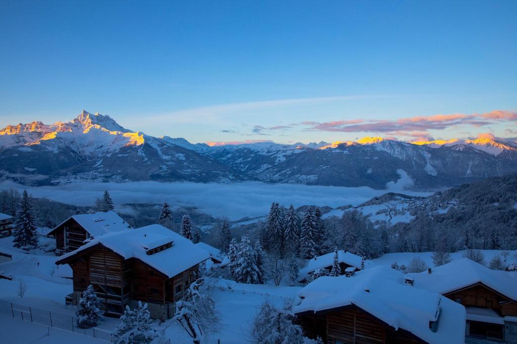 Viu Hotel Villars