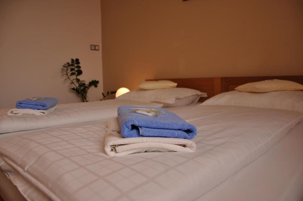Hotel Lions Plzen