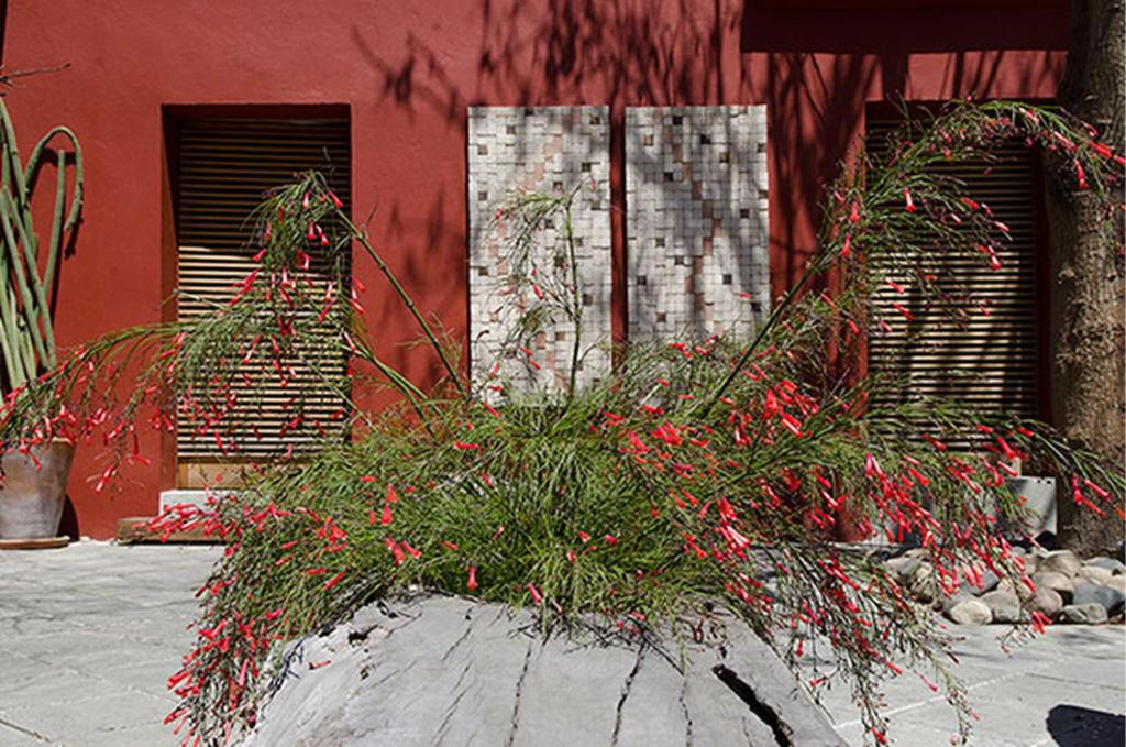 La Casona De Tita Oaxaca