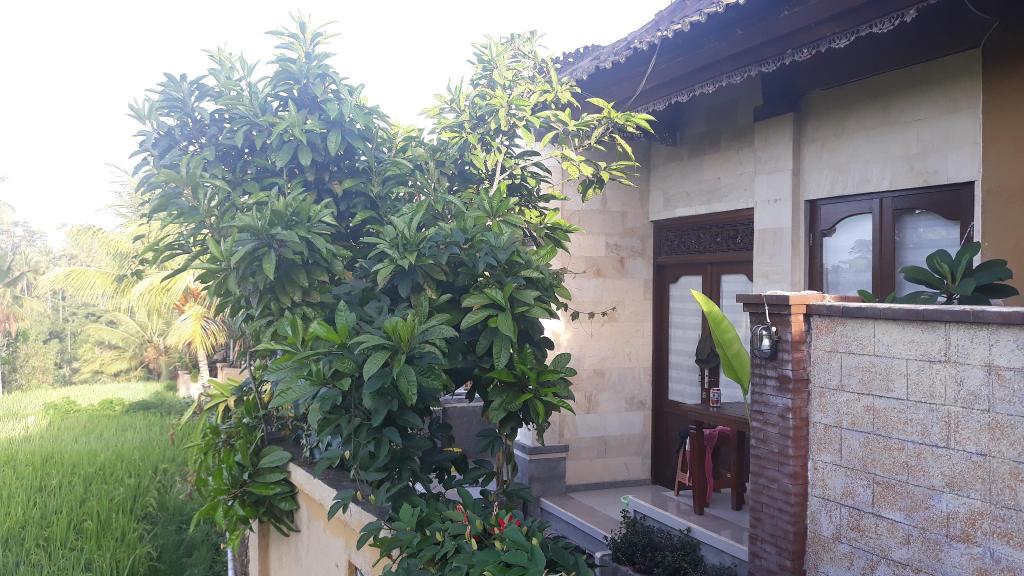 Dukuh Village Homestay & Villas