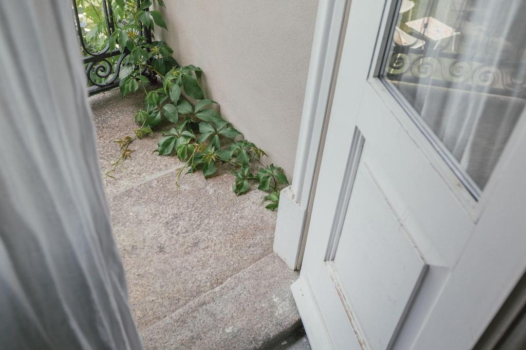 Gallribild av Rosa Et Al Townhouse