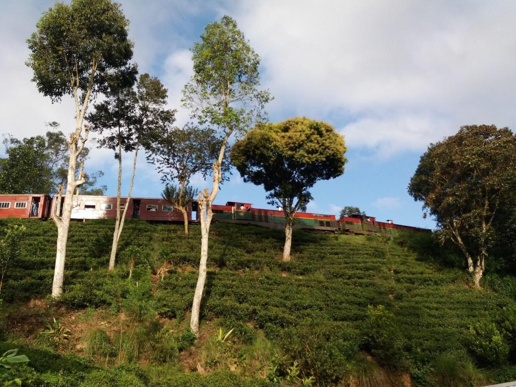 Train View Chalet