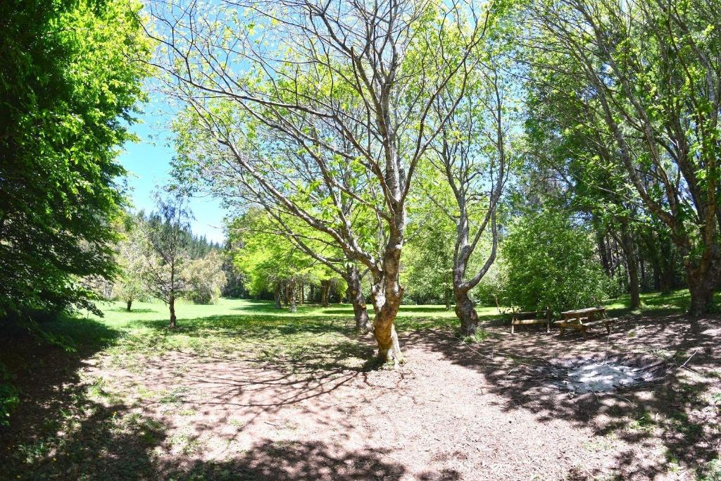 Te Popo Gardens And Accommodation