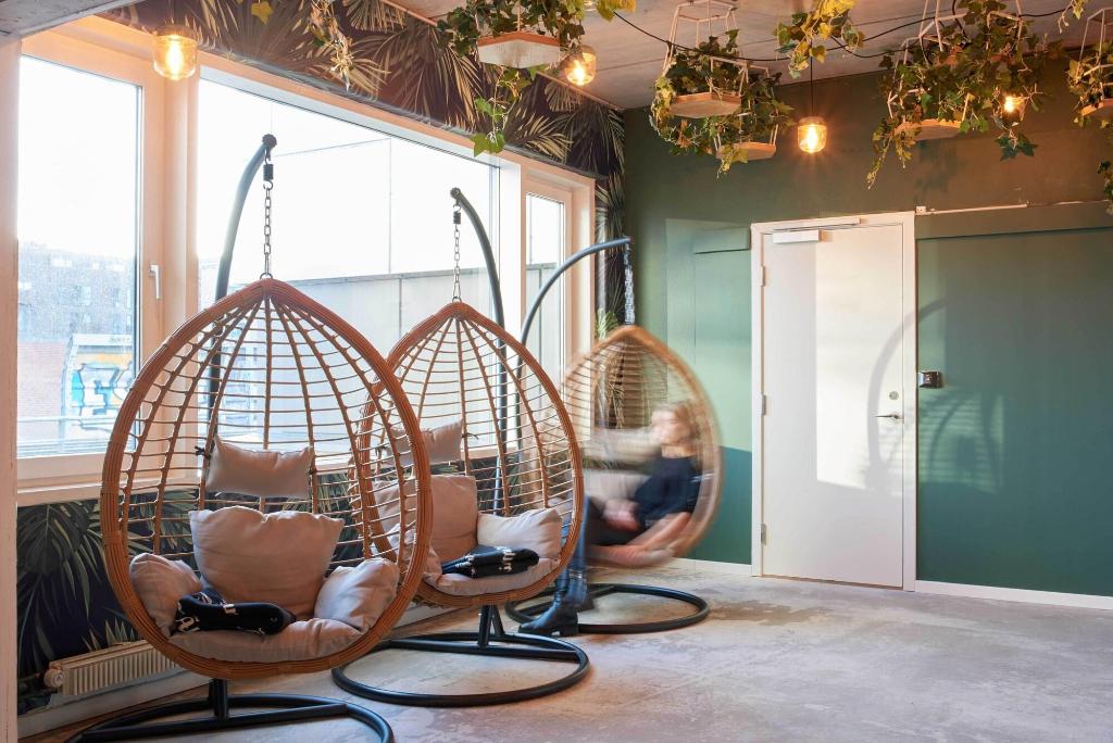 Urban Camper Hostel - Bar