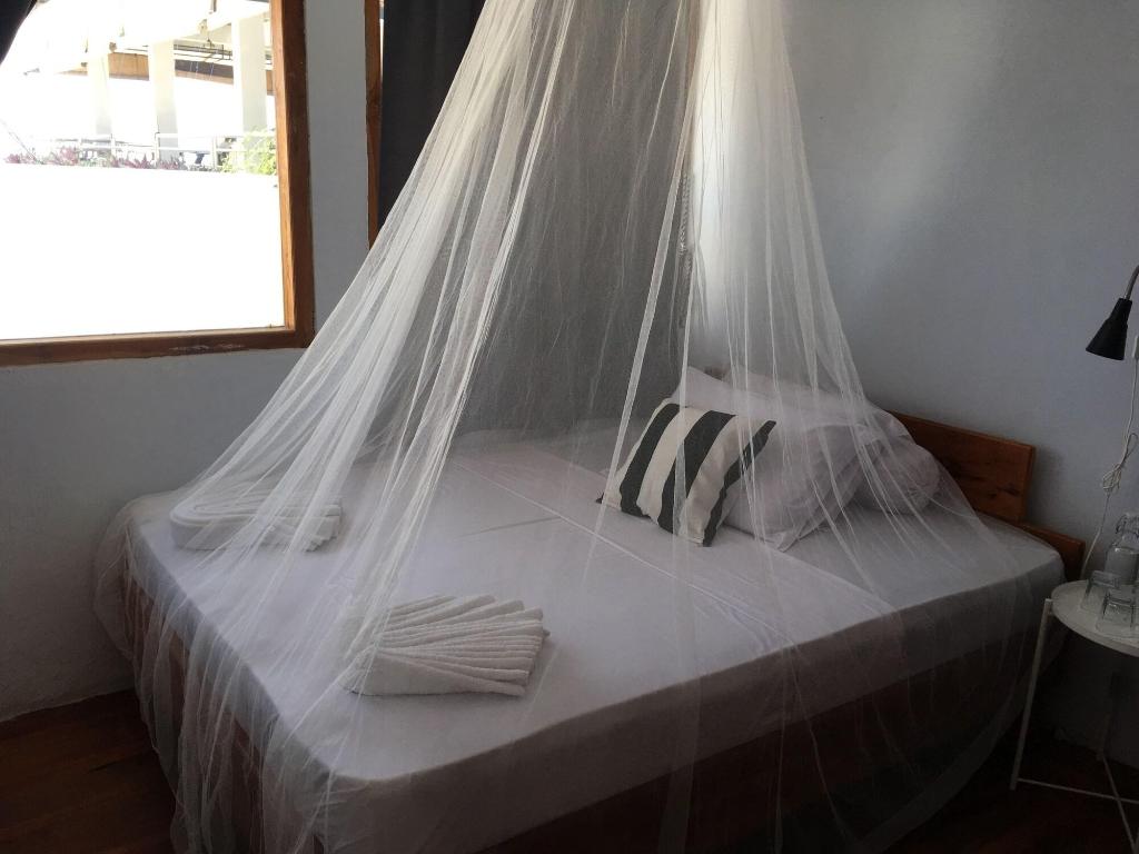 Bajo Sunset Hostel