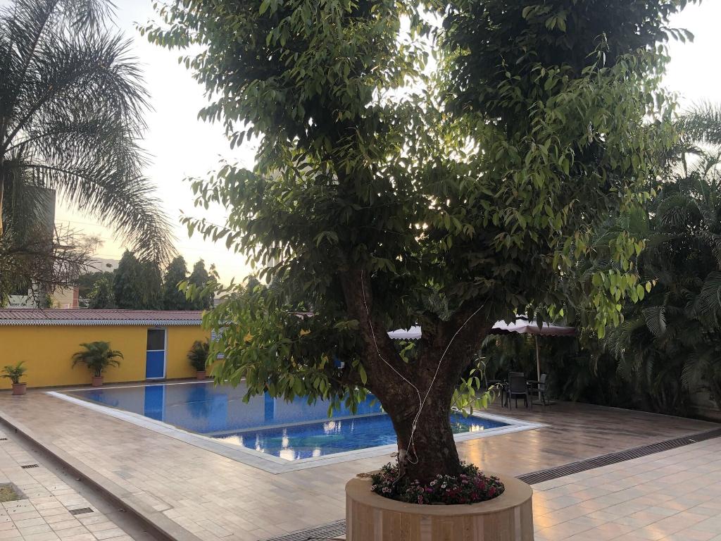 Resort Silver Hills