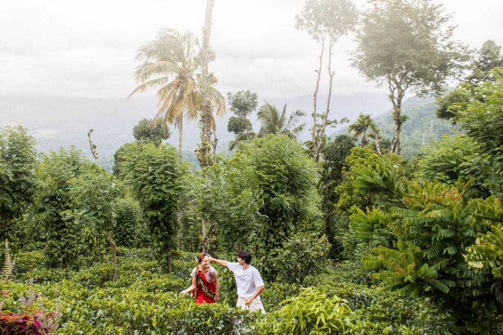 Aarunya Nature Resort &  Spa