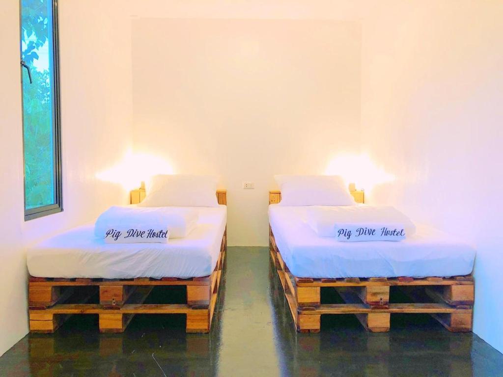 Pig Dive Hostel
