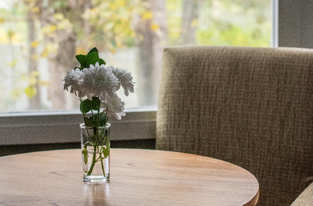 Wyndham Garden Campana photo 66