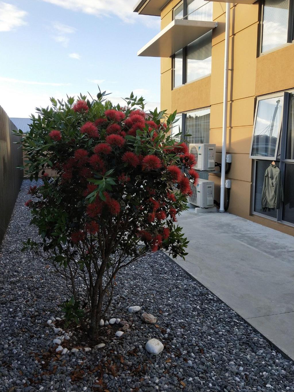 Stopforths Premium Accommodation