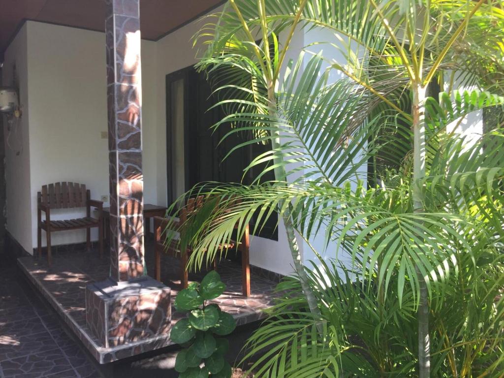 Hotel Scuba Tribe Bali dive-resort, Indonesien, Tulamben. Großes 33