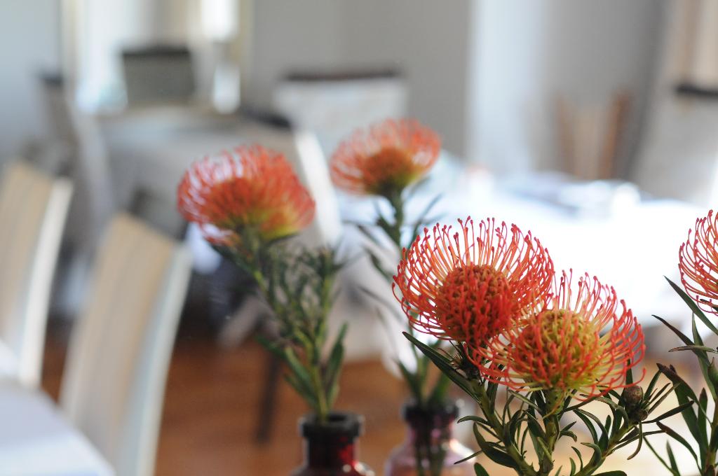 Hotel Abbey Manor Luxury Guesthouse, Südafrika, Kapstadt. Großes 2