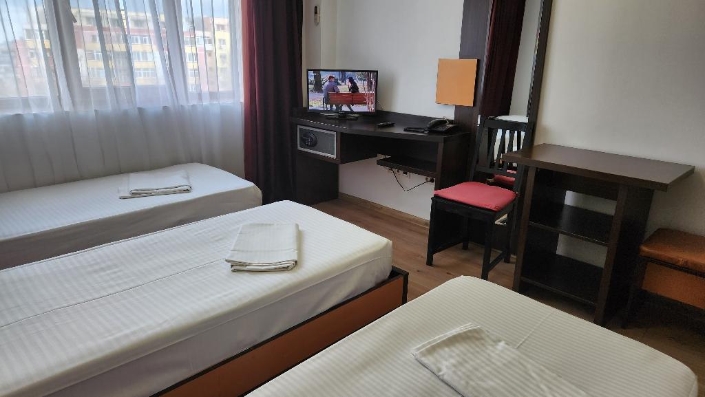 Hotel Arion