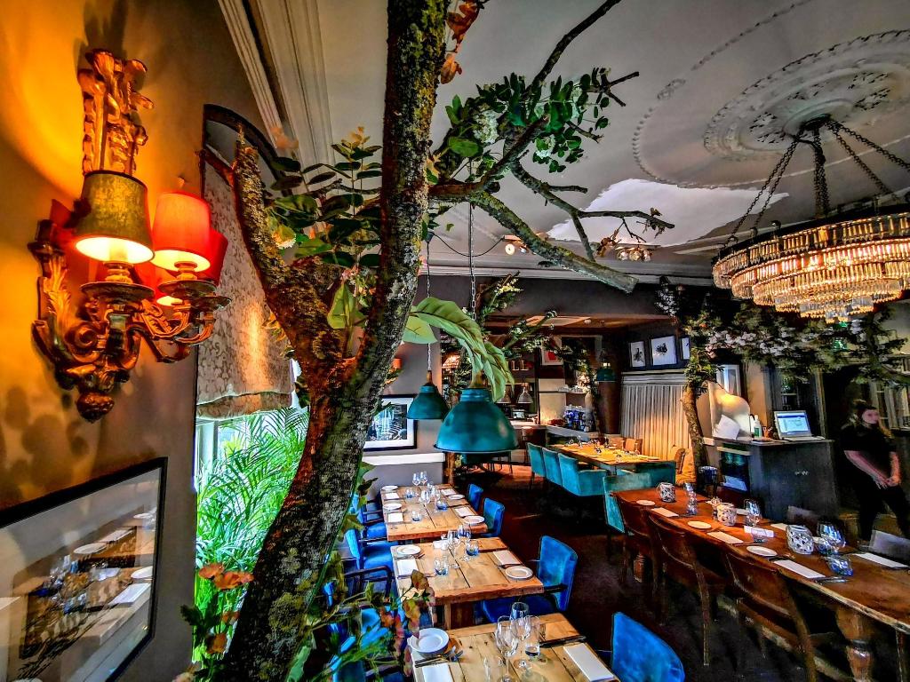 Ox Hotel Bar & Grill - Restaurant